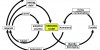 La double appartenance : analyse de l’activité principale du groupe (le transfert d’argent en espèce)  comme mode d’expression et de réalisation personnelle de leur double appartenance par les migrants. La...